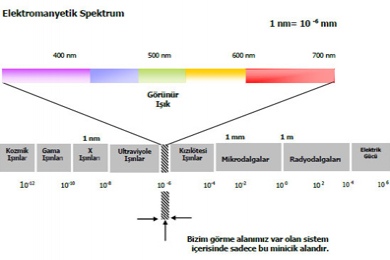 Holografik Beyin ve Holografik Evren İç İçe